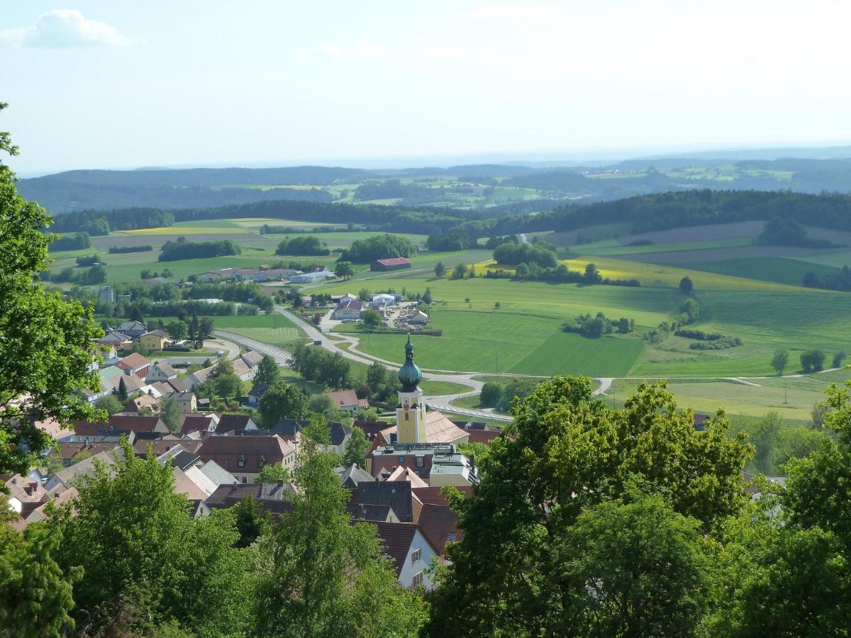 Pension Ferienwohnungen Frey Tännesberg エクステリア 写真