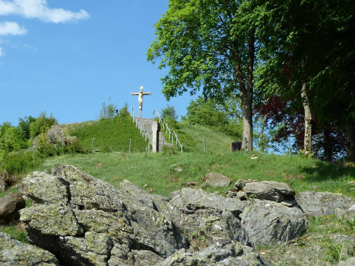 Pension Ferienwohnungen Frey Tännesberg エクステリア 写真
