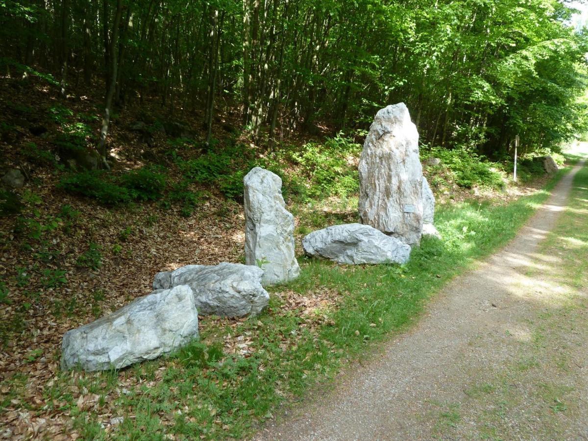 Pension Ferienwohnungen Frey Tännesberg エクステリア 写真